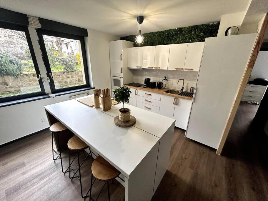 Le Puy En Velay - Appartement Grand Confort Exterior photo